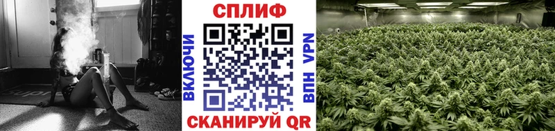 Где купить Пучеж Cocaine Меф АМФЕТАМИН Каннабис
