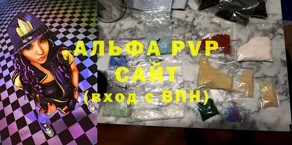 стаф Абинск