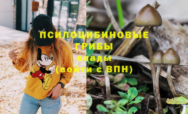 стаф Абинск