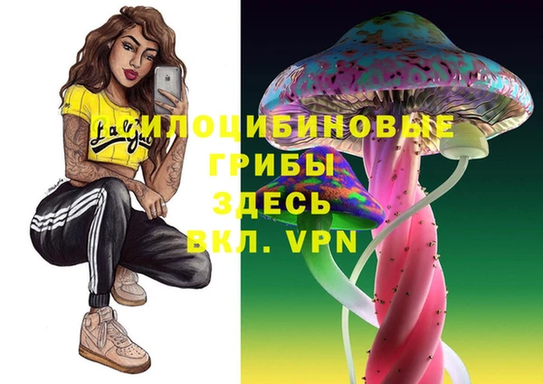 стаф Абинск