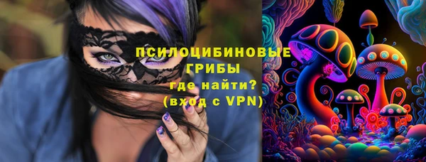 гидра Алексеевка