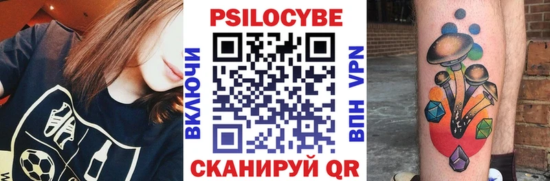 blacksprut tor  дарнет шоп  Пучеж  Псилоцибиновые грибы MAGIC MUSHROOMS 